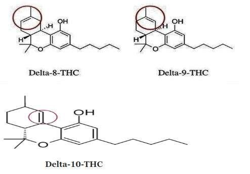 HHC vs. THC 5 thc versions